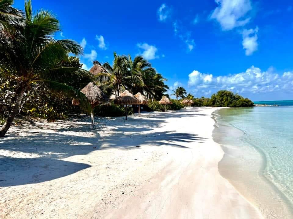 isla-contoy-ausflüge