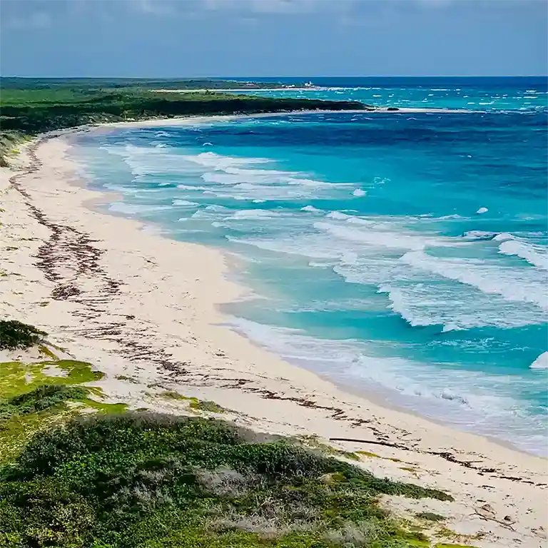 Weißer Sandstrand und türkisfarbenes Meer auf der Karibikinsel Cozumel