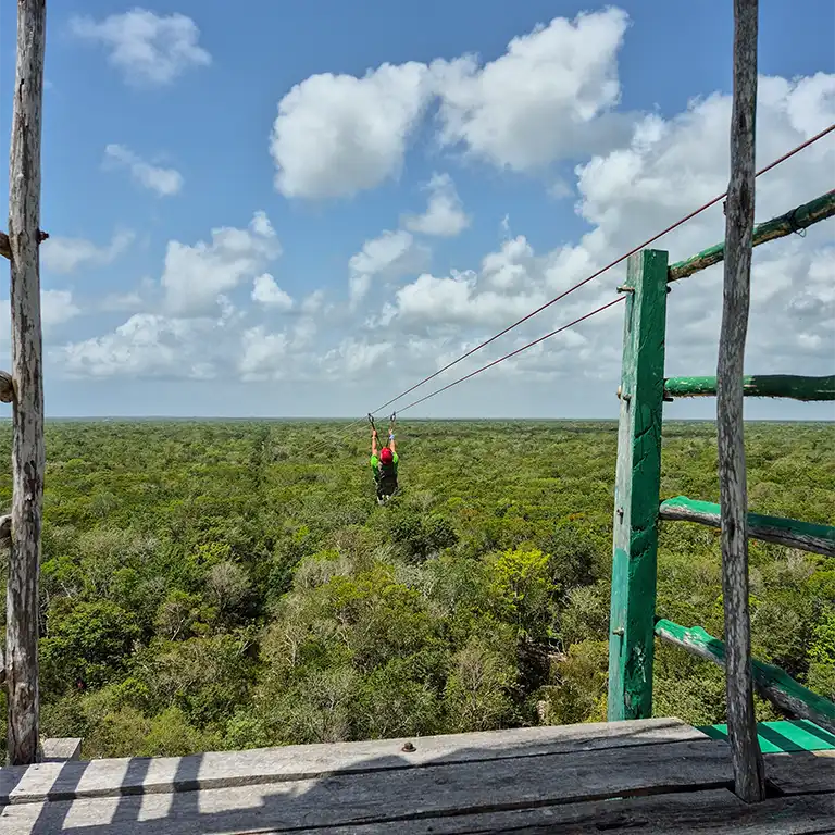 Teilnehmer gleitet von einer Zipline-Plattform über den dichten Dschungel der Riviera Maya.